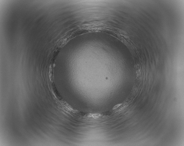 X0000051860767200507221857