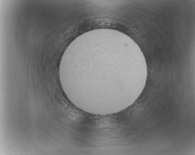 X0000051860769200507221856