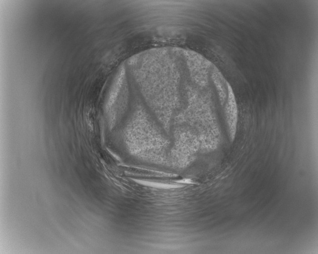 X0000051860770200507221856