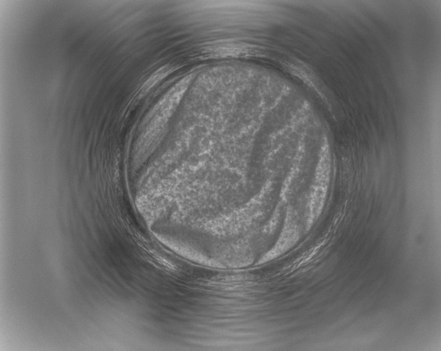 X0000051860778200507221856