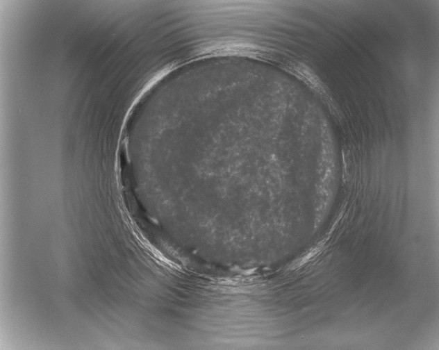 X0000051860780200507221856