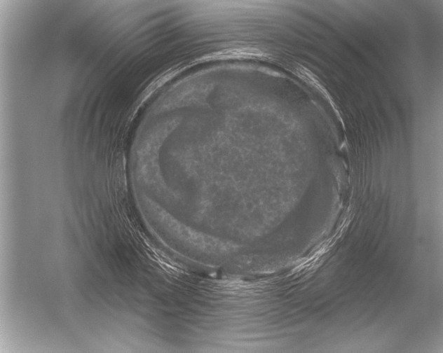 X0000051860781200507221856