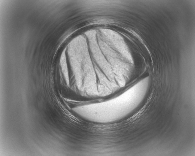 X0000051860783200507221856