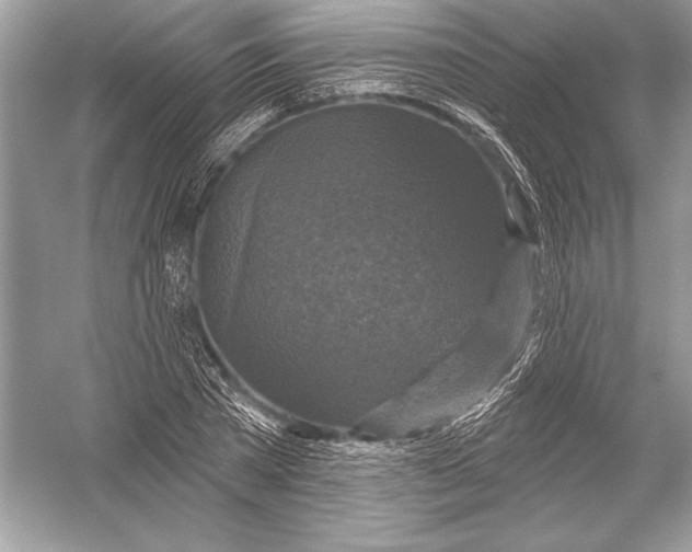 X0000051860785200507221856