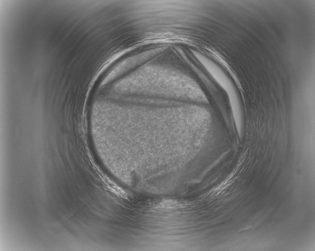 X0000051860787200507221856