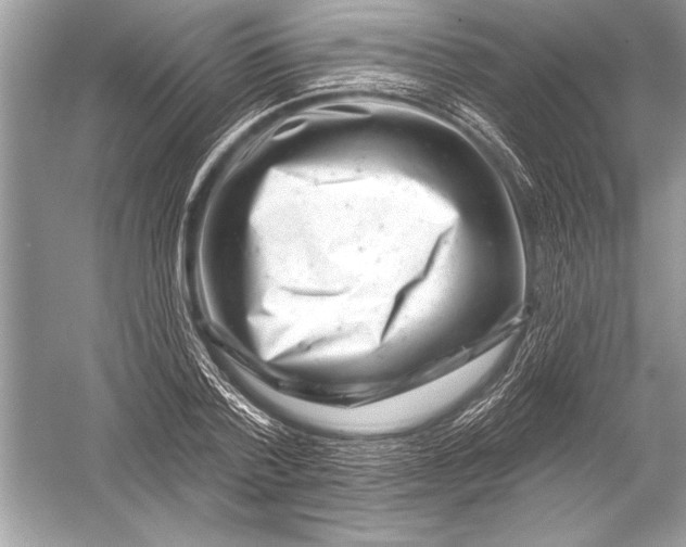 X0000051860788200507221856