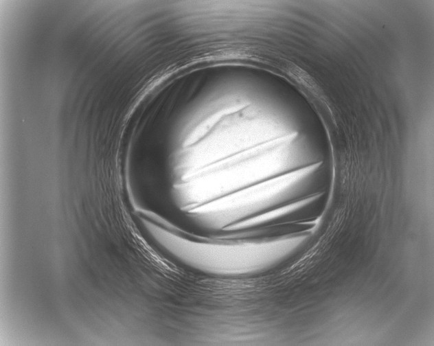 X0000051860789200507221856