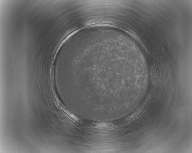 X0000051860790200507221855