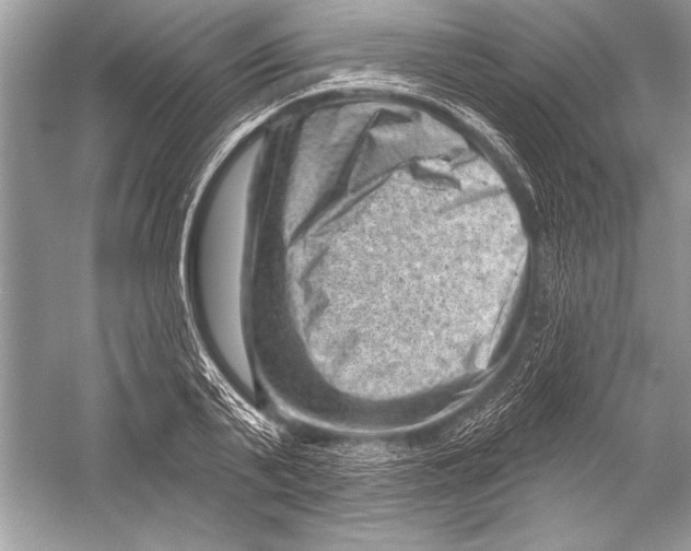 X0000051860791200507221855