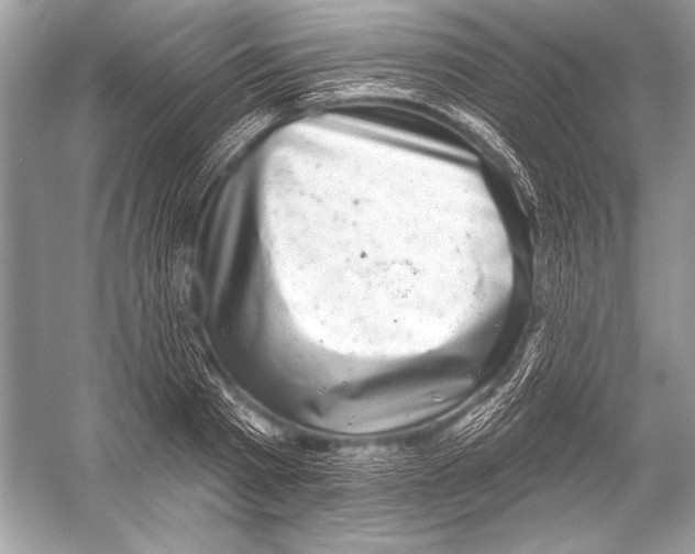 X0000051860793200507221855