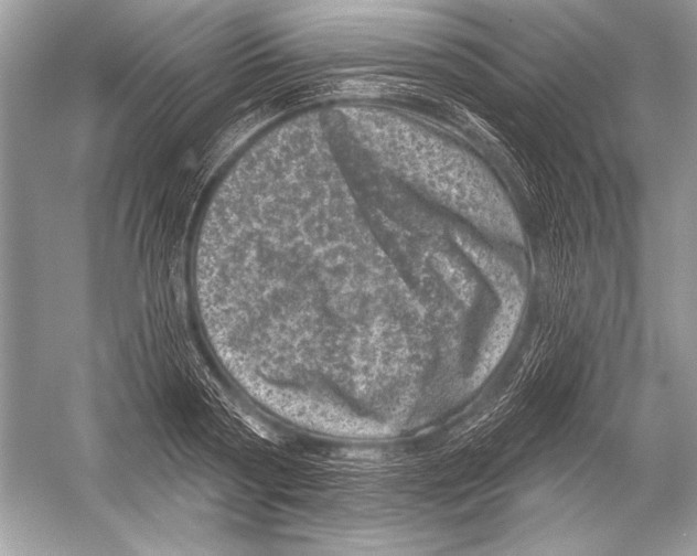 X0000051860794200507221855