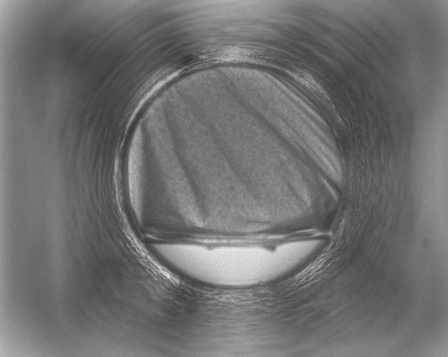 X0000051860798200507221855