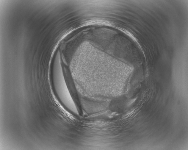 X0000051860799200507221855