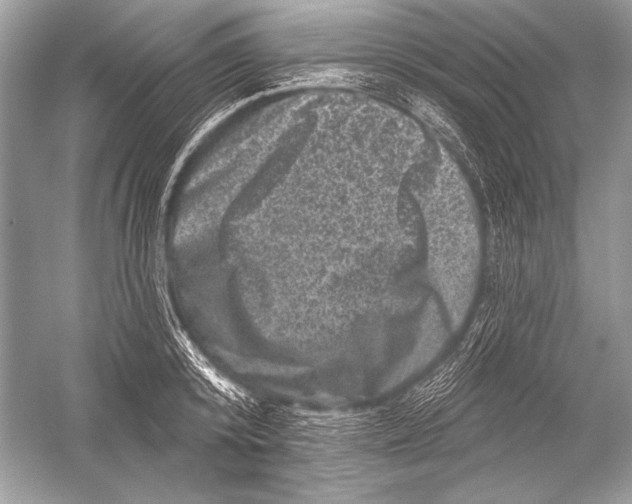 X0000051860800200507221855