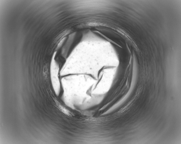 X0000051860801200507221855