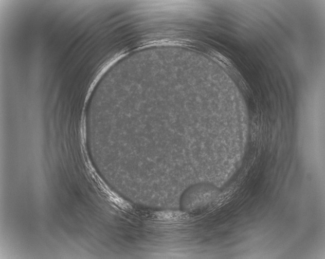 X0000051860804200507221855