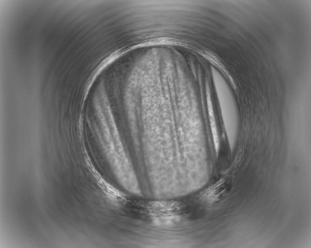 X0000051860805200507221855