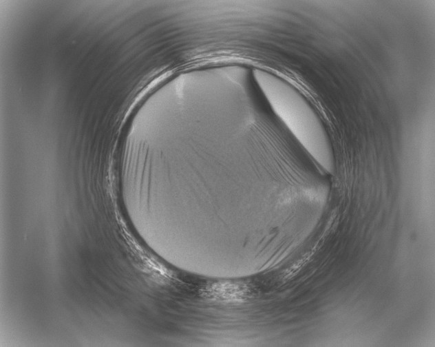 X0000051860806200507221855