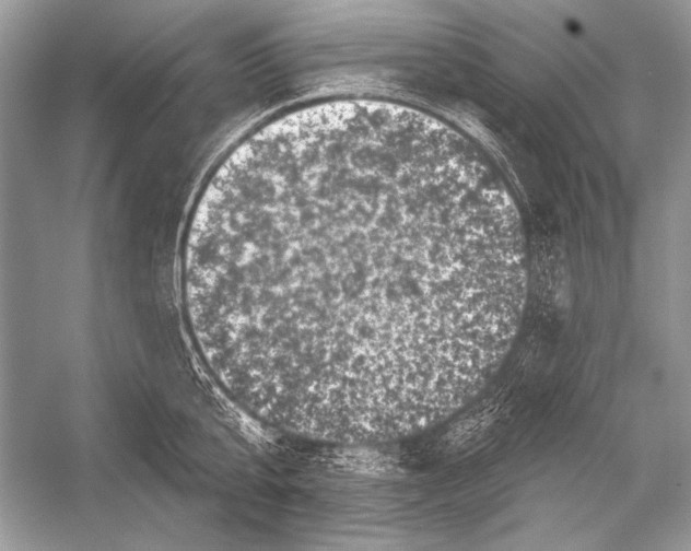 X0000051860807200507221855