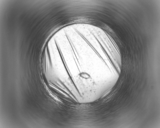 X0000051860808200507221855