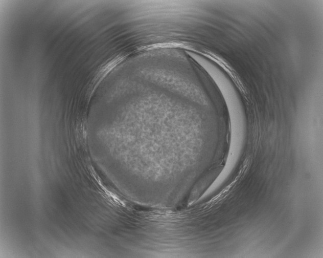 X0000051860809200507221855