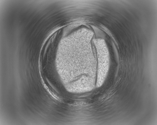 X0000051860811200507221855