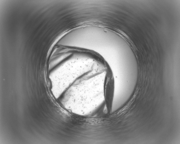 X0000051860812200507221855