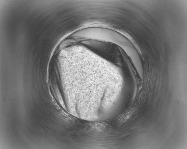 X0000051860815200507221855