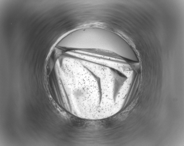 X0000051860816200507221855