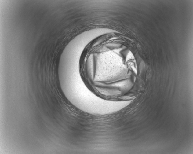 X0000051860818200507221854