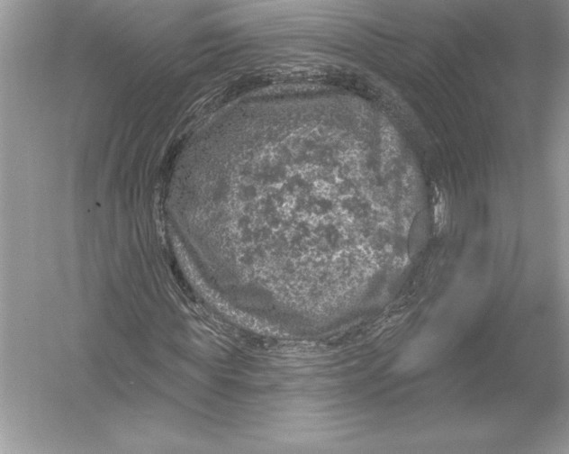 X0000051860819200507221854