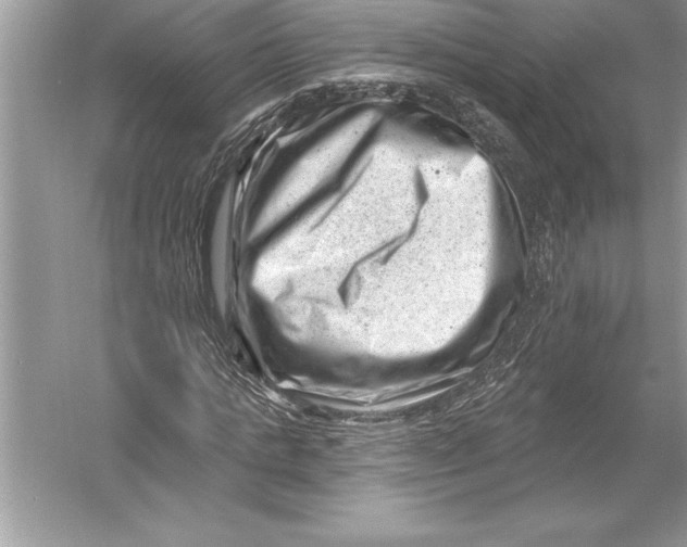 X0000051860821200507221854