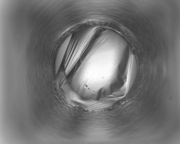 X0000051860822200507221854