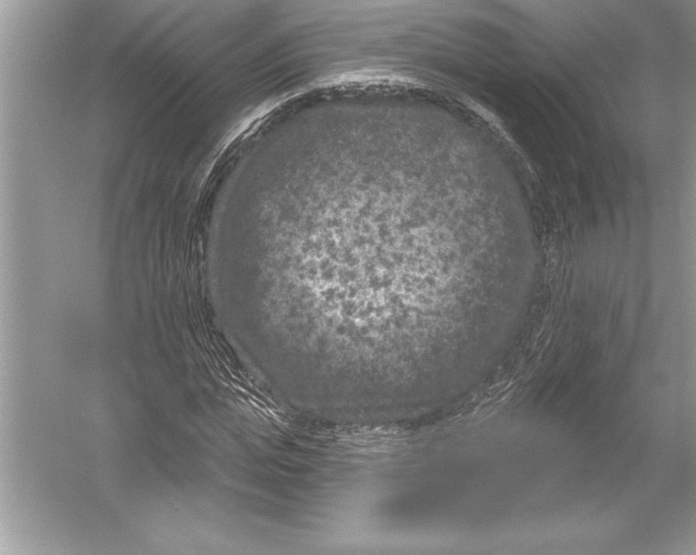 X0000051860823200507221854