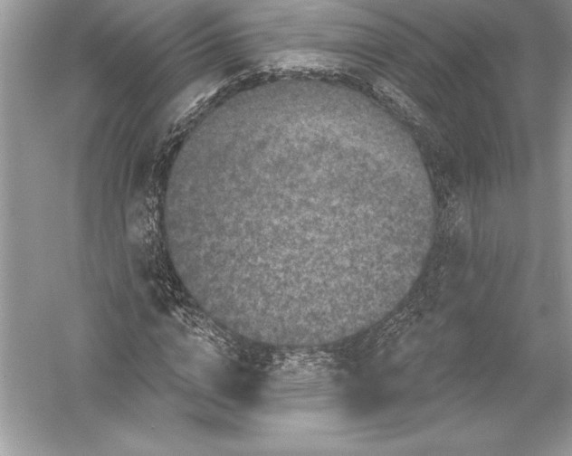 X0000051860824200507221854