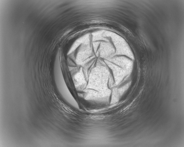 X0000051860825200507221854