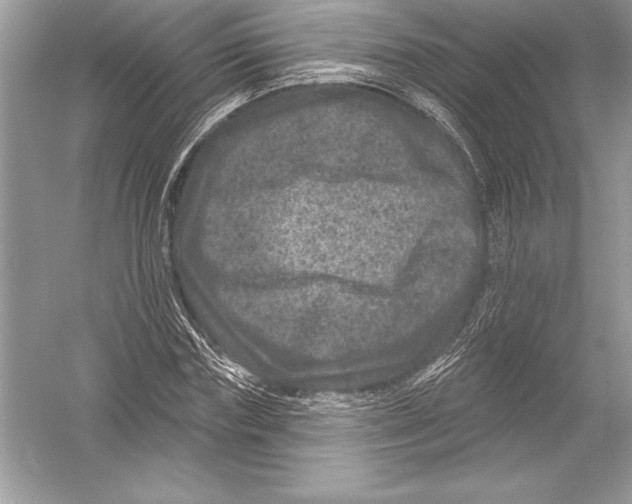 X0000051860827200507221854