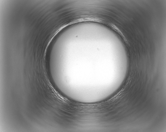 X0000051860828200507221854