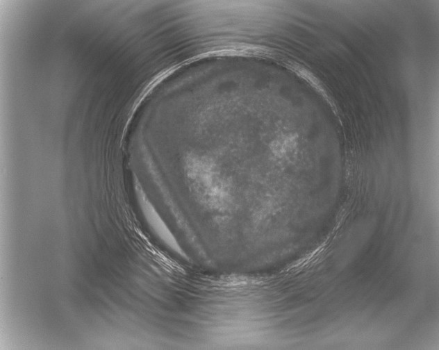 X0000051860829200507221854