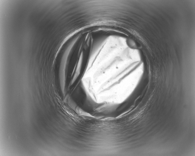 X0000051860830200507221854