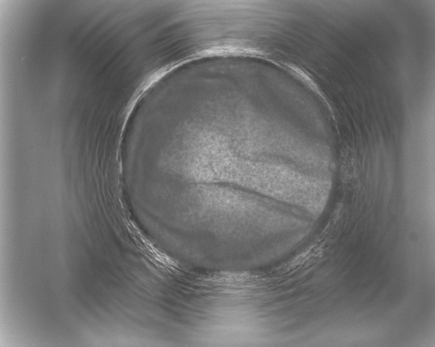 X0000051860831200507221854