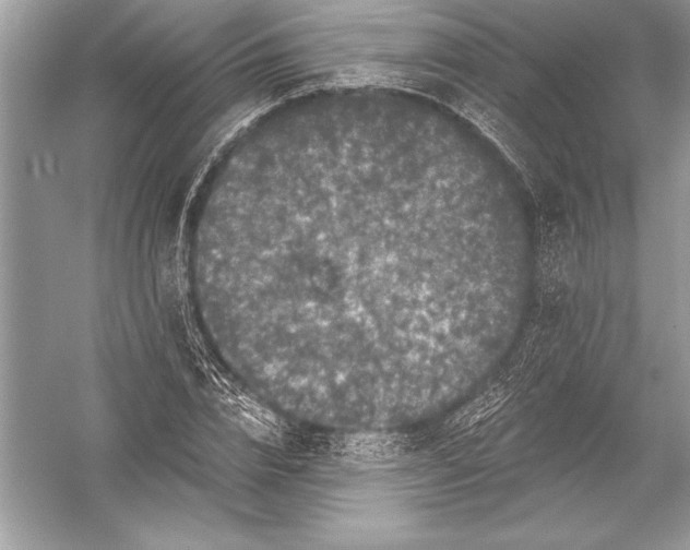 X0000051860832200507221854