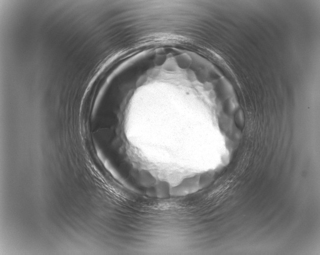 X0000051860835200507221855