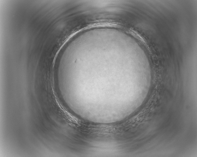 X0000051860836200507221855