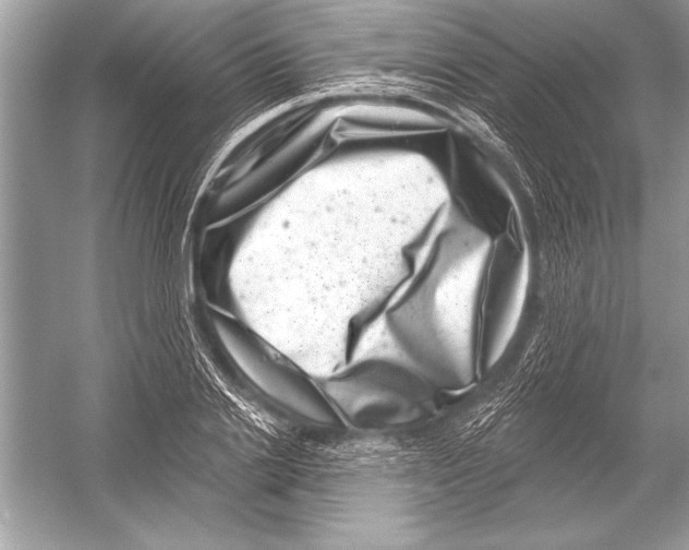 X0000051860838200507221855