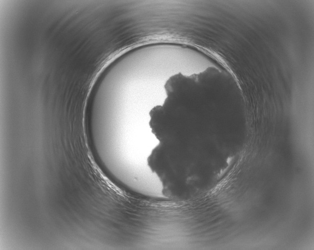 X0000051860839200507221855