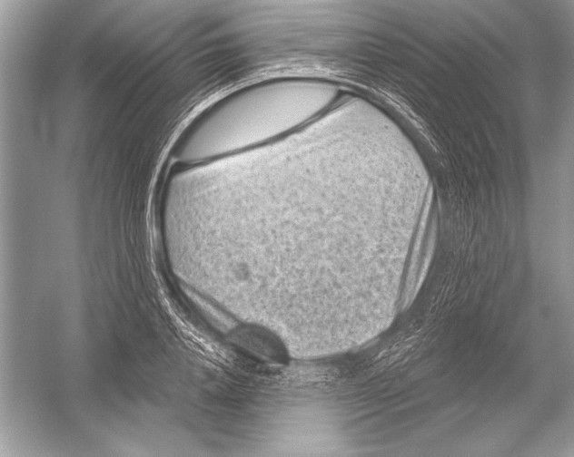 X0000051860840200507221855