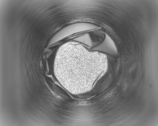 X0000051860841200507221855