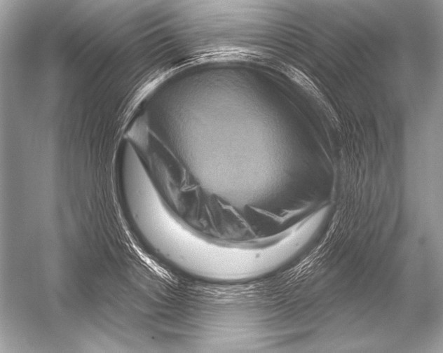 X0000051860842200507221855