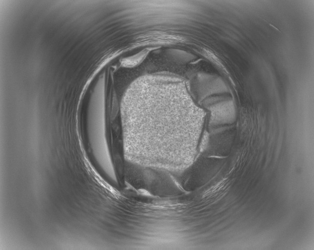 X0000051860843200507221855